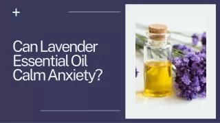 Can Lavender Essential Oil Calm Anxiety