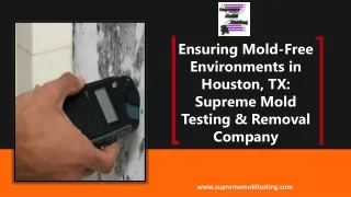 Mold-Free Environments in Houston