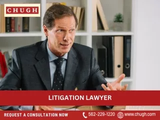 Litigation Lawyer | Chugh LLP
