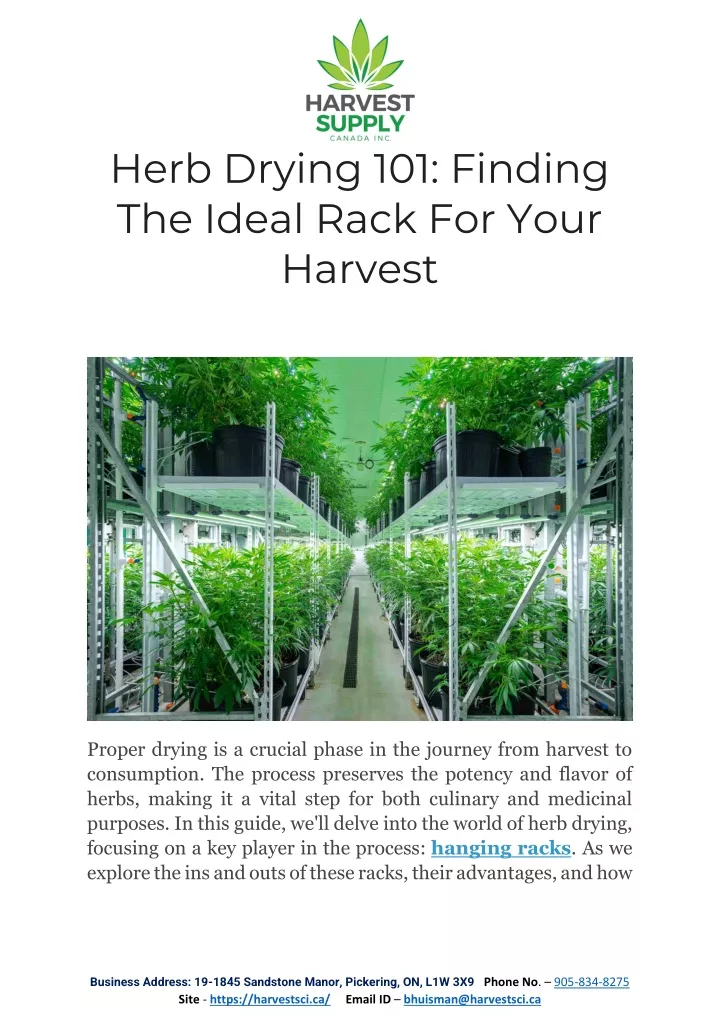 herb drying 101 finding the ideal rack for your