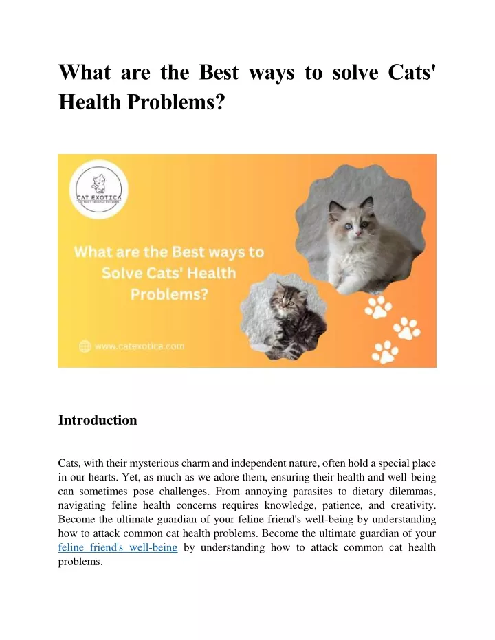 what are the best ways to solve cats health