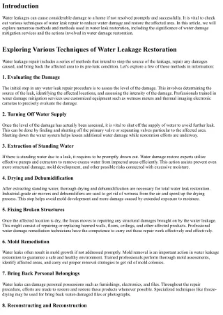 Exploring Different Approaches of Water Leakage Remediation