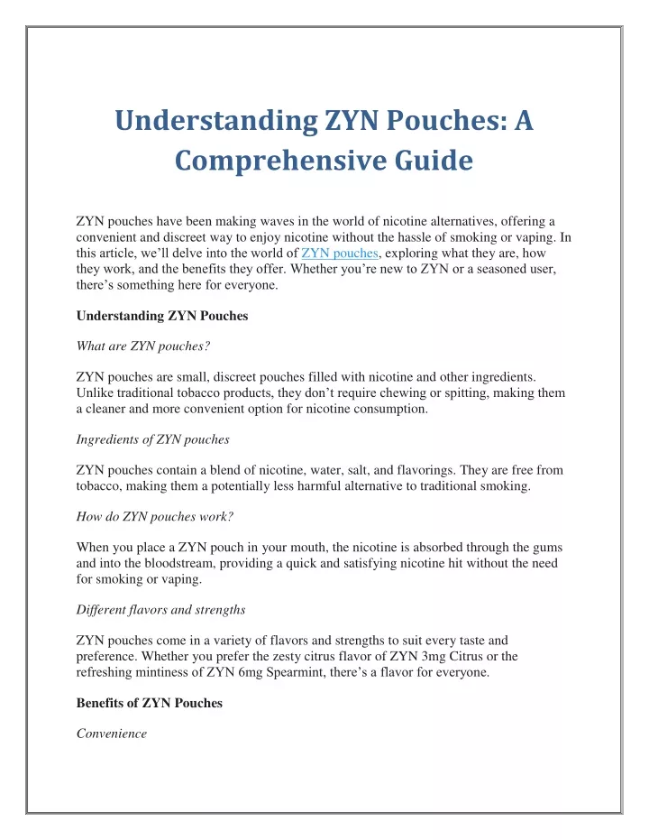 understanding zyn pouches a comprehensive guide