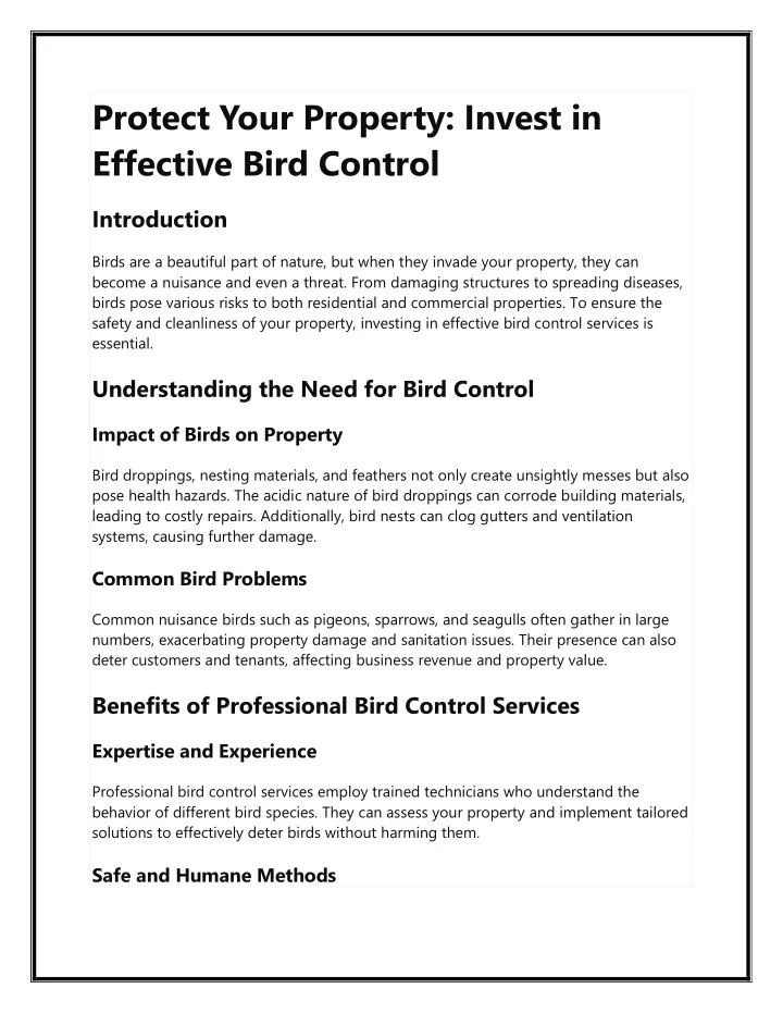 protect your property invest in effective bird