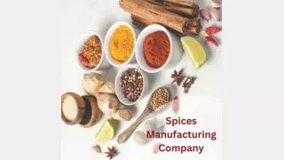 Masala Manufacturing Company in Delhi