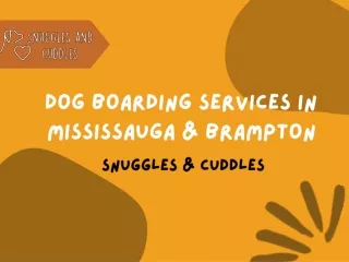 Dog Boarding Services in Mississauga & Brampton | Snuggles & Cuddles