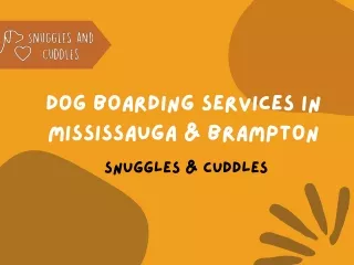 Dog Boarding Services in Mississauga & Brampton  Snuggles & Cuddles