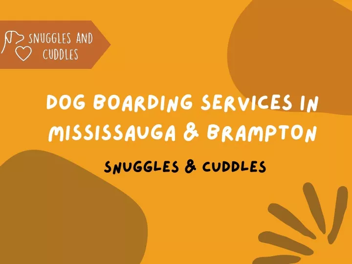 dog boarding services in mississauga brampton