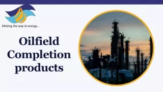 Top Oilfield Completion products