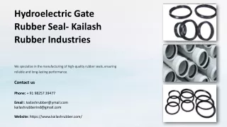 Hydroelectric Gate Rubber Seal, Best Hydroelectric Gate Rubber Seal Manufacturer