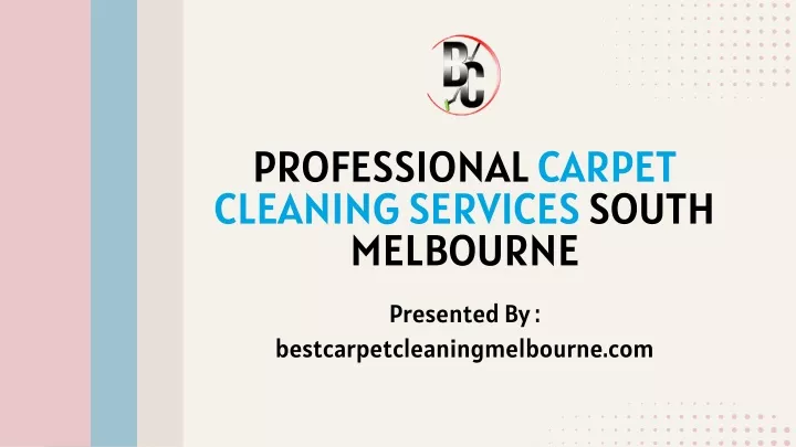 professional carpet cleaning services south