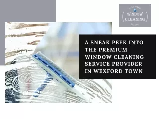 A Sneak peek into the premium Window Cleaning Service provider in Wexford Town