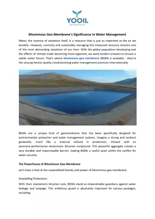 Bituminous Geo Membrane's Significance In Water Management