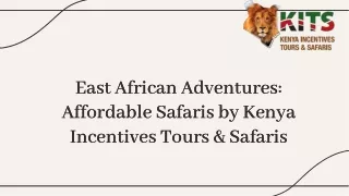 East African Adventures: Affordable Safaris by Kenya Incentives Tours & Safaris