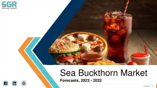 Sea Buckthorn Market Size, Overview, Growth, Demand and Forecast to 2024-2032