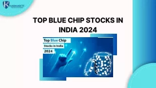 TOP BLUE CHIP STOCKS IN INDIA 2024