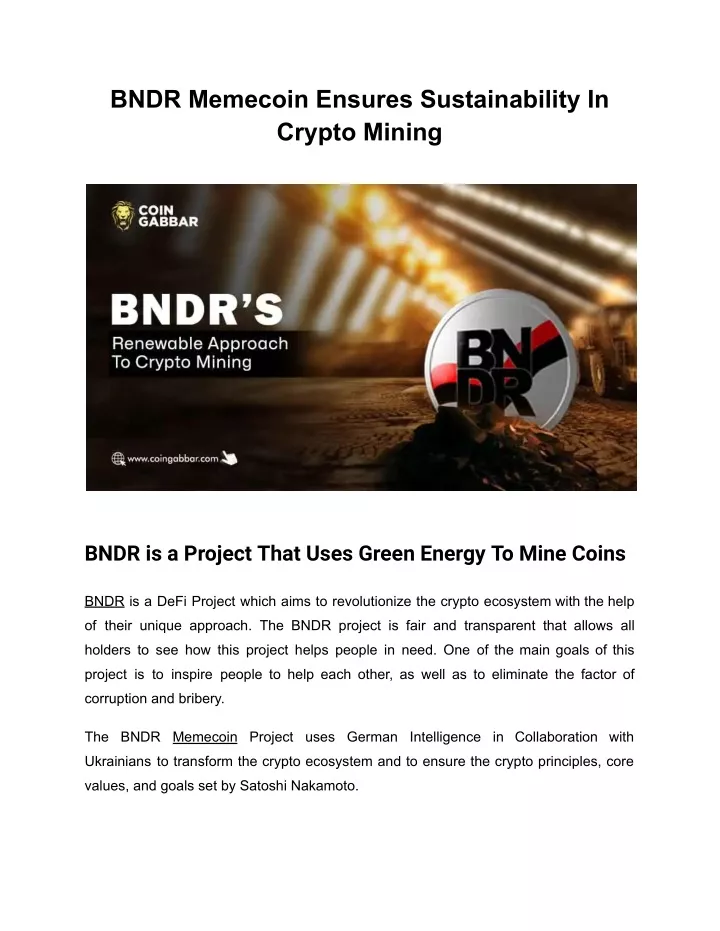 bndr memecoin ensures sustainability in crypto