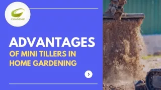 Advantages Of Mini Tillers In Home Gardening