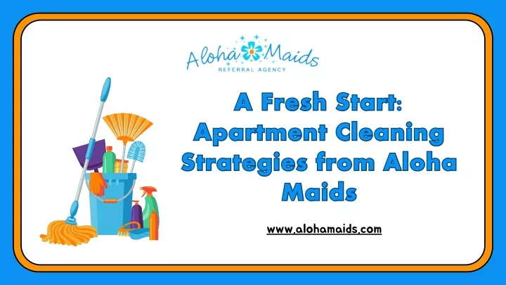 a fresh start apartment cleaning strategies from
