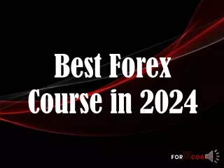 Best Forex Course in 2024