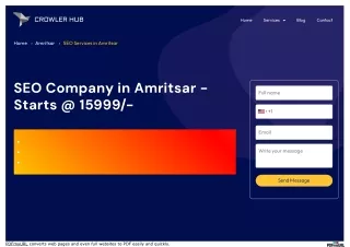 Seo Agency In Amritsar| Crowlerhub