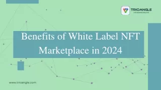 Benefits of White Label NFT Marketplace in 2024