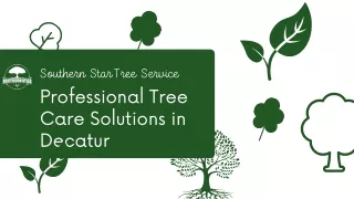 Professional Tree Care Solutions in Decatur