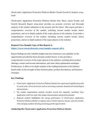 cloud native application protection platform
