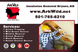 Insulation Removal Bryant, AR