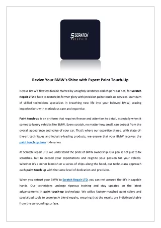 revive your bmw s shine with expert paint touch up