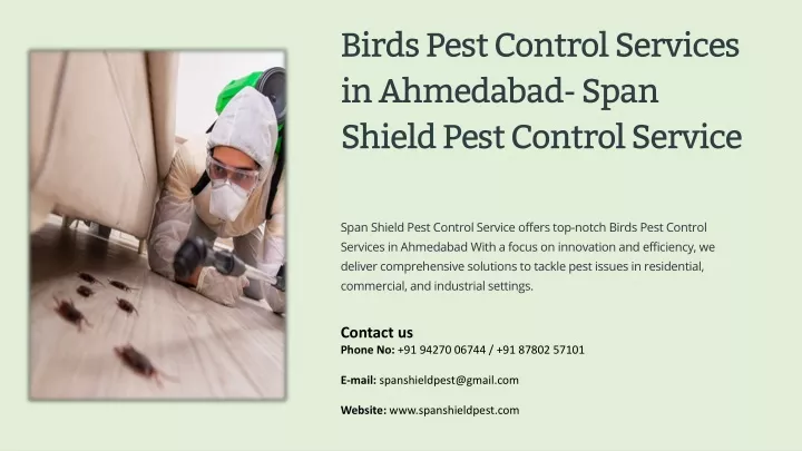 birds pest control services in ahmedabad span