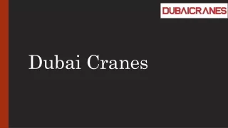CRANES IN DUBAI