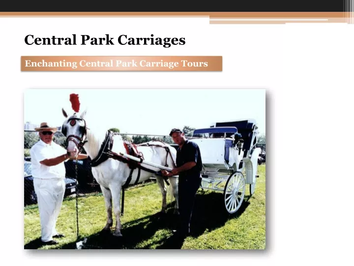 central park carriages