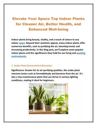 Elevate Your Space Top Indoor Plants for Cleaner Ai1