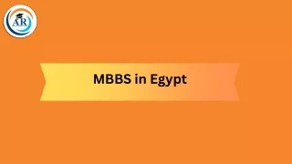 Exploring the Path: Pursuing MBBS in Egypt