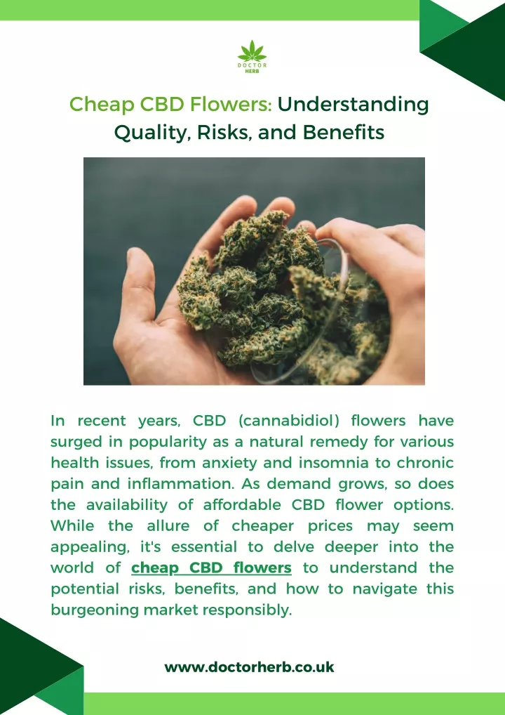 cheap cbd flowers understanding quality risks