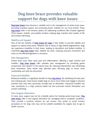 Dog knee brace provides valuable support for dogs with knee issues