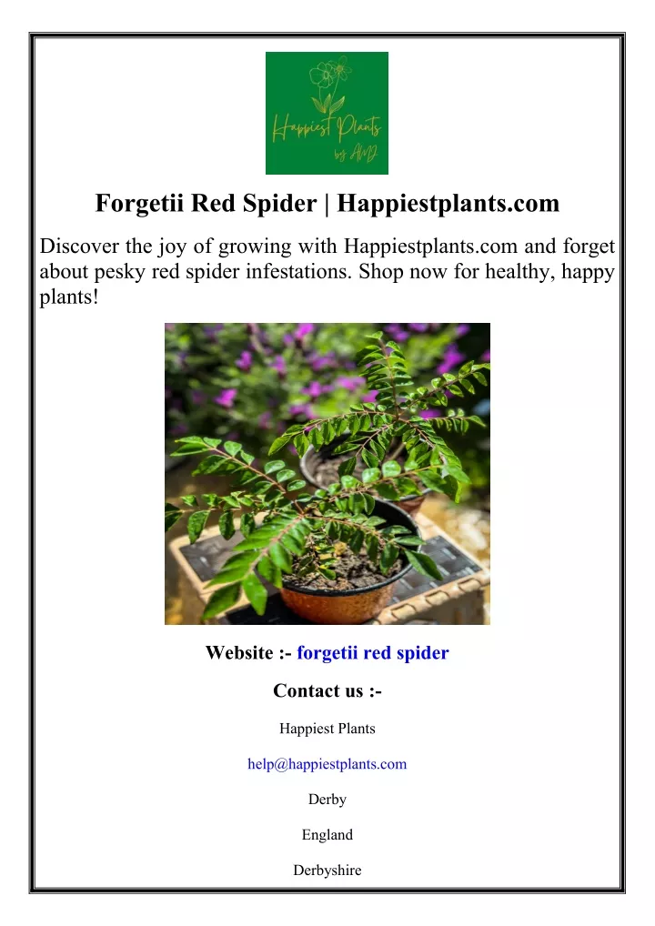 forgetii red spider happiestplants com