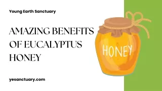 Amazing Benefits of Eucalyptus Honey