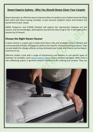 Steam Experts Sydney - Why You Should Steam Clean Your Carpets