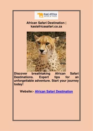 African Safari Destination
