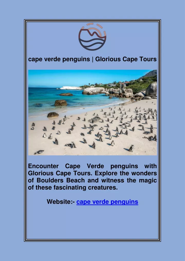 cape verde penguins glorious cape tours