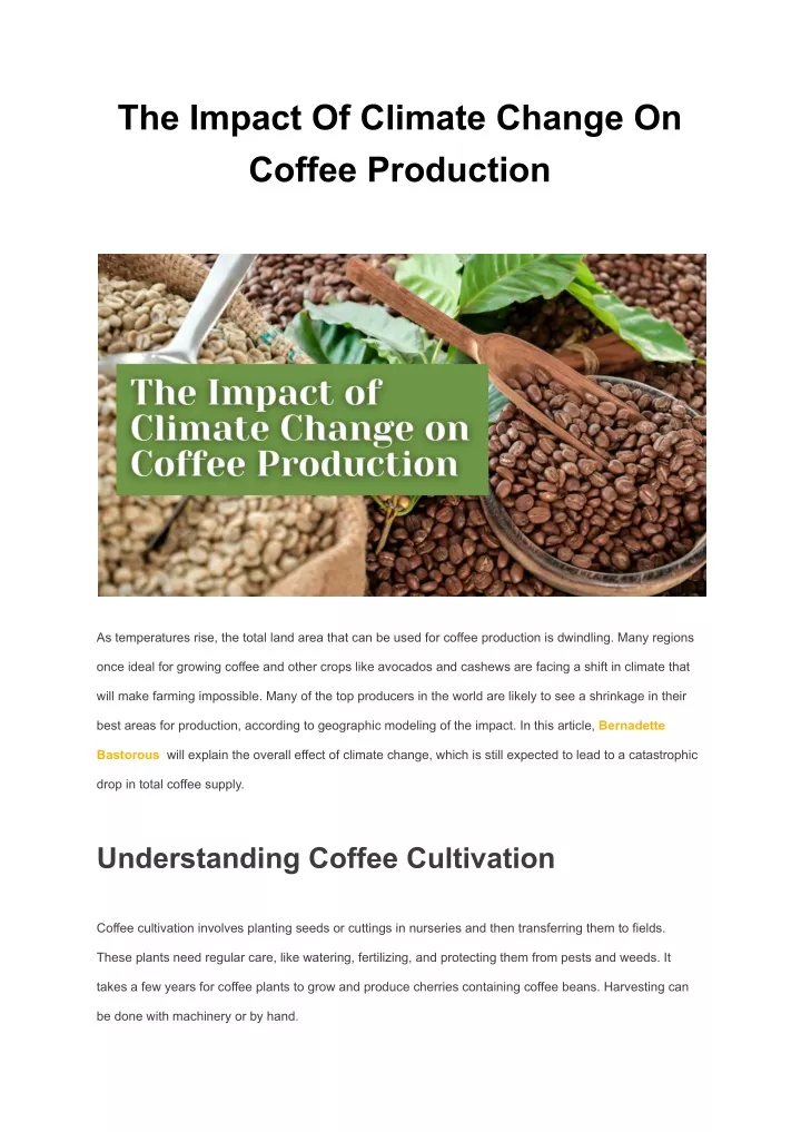the impact of climate change on coffee production