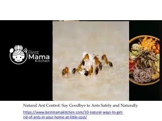 Natural Ant Control Say Goodbye to Ants Safely and Naturally
