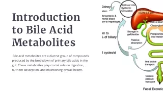 Understanding the Role of Bile Acid Metabolites in Digestion and Health