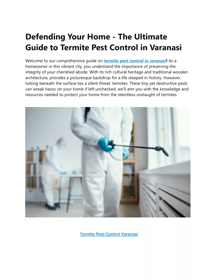 defending your home the ultimate guide to termite