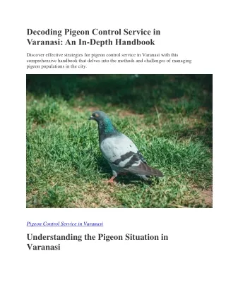 Decoding Pigeon Control Service in Varanasi