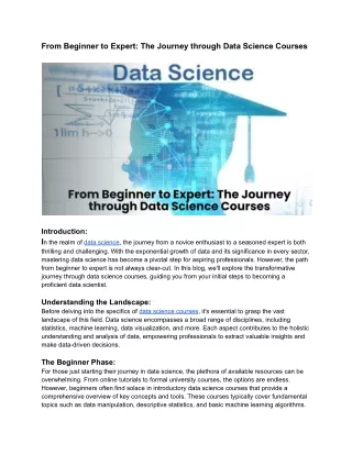 From Beginner to Expert_ The Journey through Data Science Courses