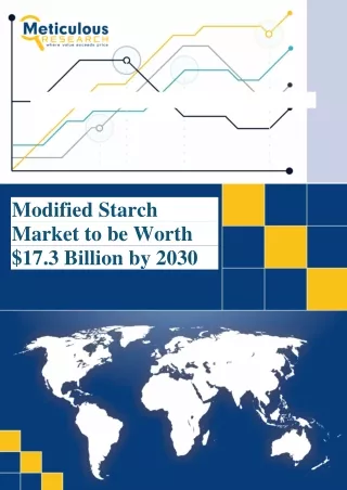 Modified Starch Market Size & Growth Report, 2030