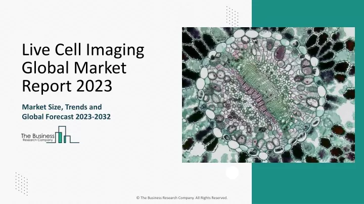 live cell imaging global market report 2023